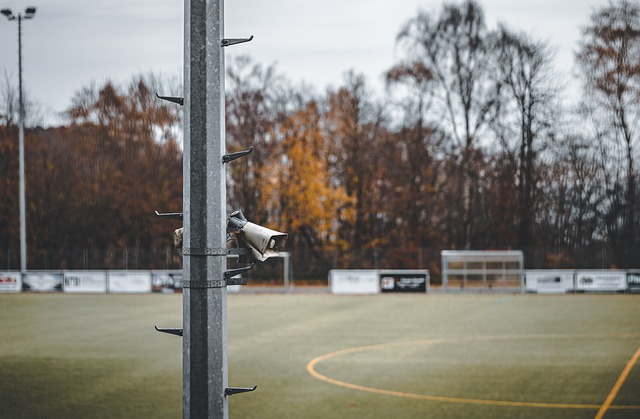 的亚冬会中 的亚冬会中